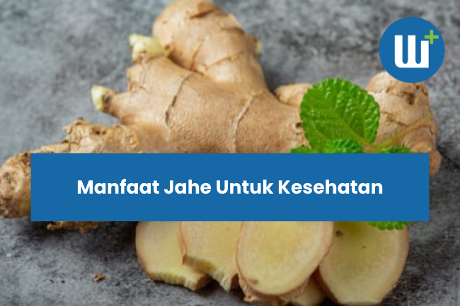 Manfaat Jahe Untuk Kesehatan